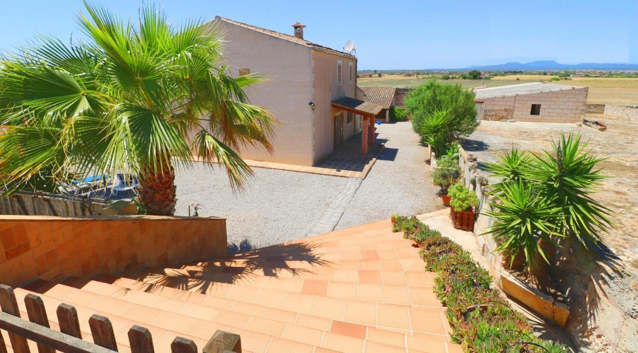 Alcoraia Villa Кампос Екстериор снимка