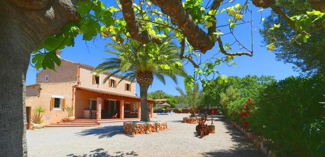 Alcoraia Villa Кампос Екстериор снимка